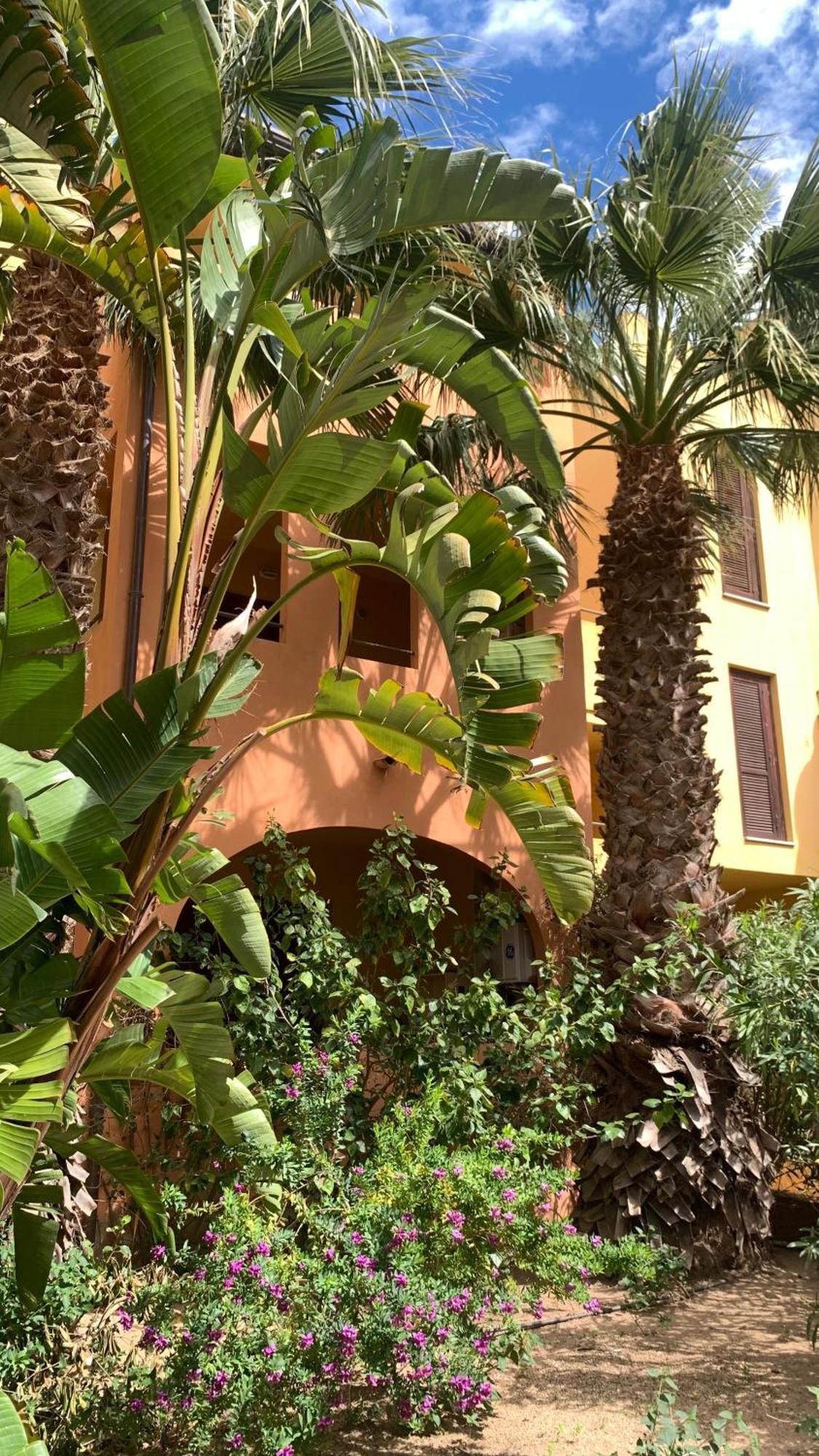 Nest House - Esclusivo Appartamento Marina Di Olbia- Mater Olbia - Beaches - Close To The Airport - Private Parking- Full Comforts - Exterior foto